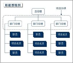 職能型組織結構