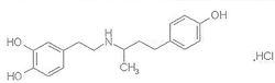 鹽酸多巴酚丁胺注射液
