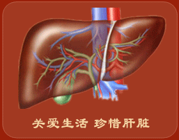 藥物性肝損傷