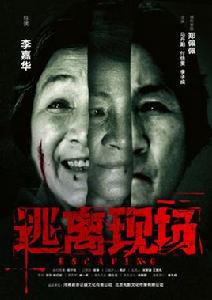 逃離現場[2017年上映鄭佩佩、馬丹陽主演驚悚犯罪片]