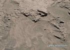 砂質黏壤土