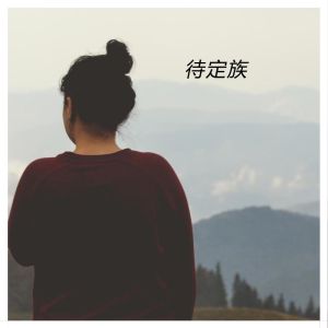 待定族