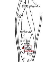 梁丘[穴位]