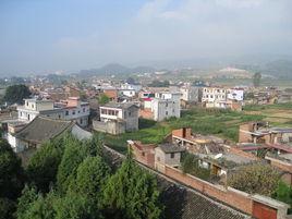 大樹村[雲南省紅河州彌勒縣彌陽鎮下轄村]