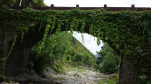 天台縣泳溪鄉靈坑蘭灣古村呆橋