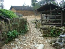 新發寨村[雲南省文山州馬關縣古林箐鄉新發寨村]