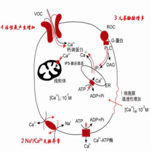 基本病理過程