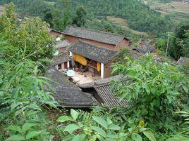 科舉村[雲南省昆明市祿勸縣雲龍鄉下轄村]