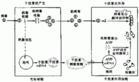 抗病毒免疫