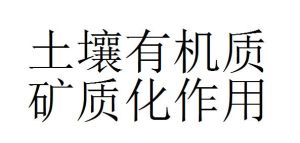 土壤有機質礦質化作用