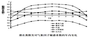 蒸發悖論