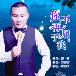 你不再屬於我[江都子演唱歌曲]