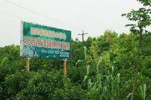 紫蓬鎮亞新生態科技示範園