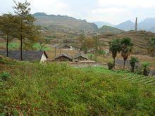 大田壩村[雲南昭通市威信縣高田鄉下轄村]