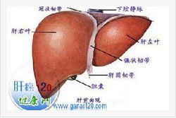 慢性肝炎症