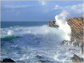 東山珍珠島