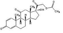 醋酸潑尼松片