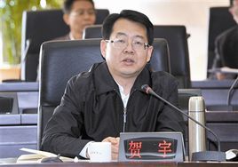 賀宇[東莞市人民政府副市長]