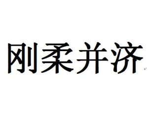 剛柔並濟