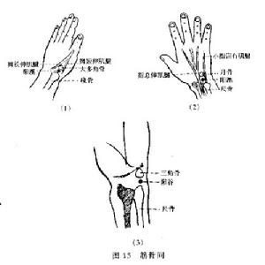 （圖）少澤穴