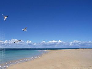 河北海濱國家森林公園