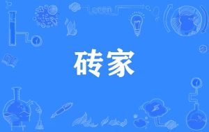 磚家[網路流行詞]