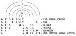 陸丙甫