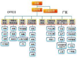 傳統組織設計