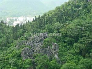 芳岙山