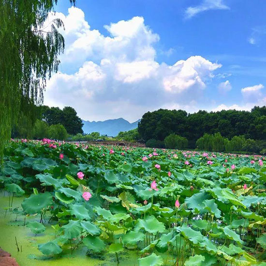 這些歪果仁都羨慕萬分的中國美景，你去過幾個？