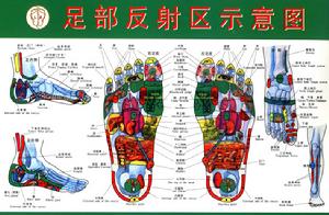 足反射療法