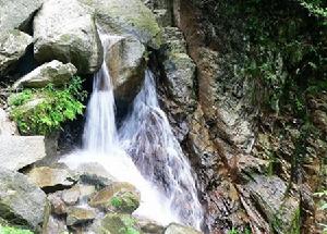 九重山國家森林公園