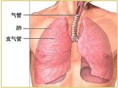 微創靶向療法