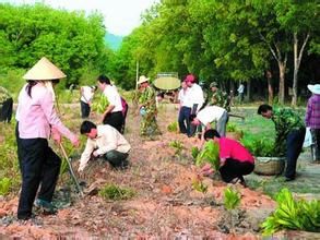 國營廣壩農場