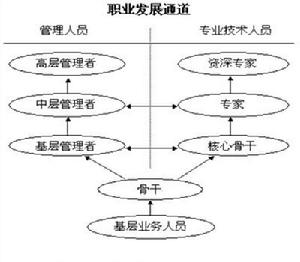 個體職業發展模型