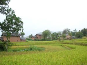 四雲河自然村