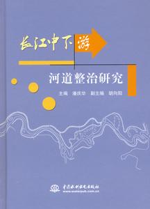 長江中下遊河道整治研究