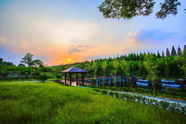 東台黃海森林公園