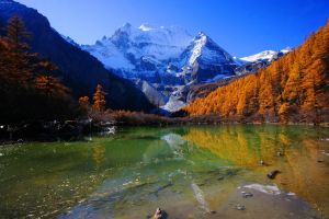 Daocheng County