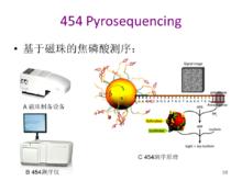 454測序原理