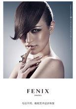 菲尼莎FENIX