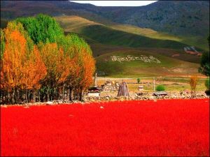 Daocheng County