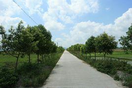 陽光村[福建省惠安縣東園鎮下轄村]