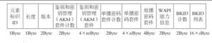 WAPI 信息元素格式