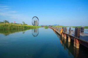 蘇州太湖國家濕地公園