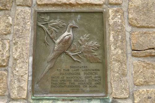旅鴿紀念碑