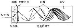 圖2晶體閃爍計數儀結構示意圖