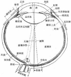 法布里病