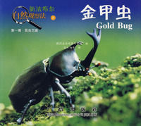 《新法布爾自然觀察法8：金甲蟲》