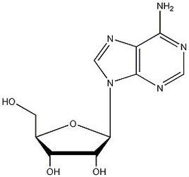 腺嘌呤核苷